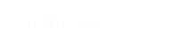 Brief