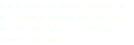 this is shows the transformation of time through seasons and how the tree changes its form constantly through the time.