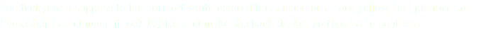 The fridge was suppose to be more off white colored but turned out more yellow. So i planned to Photoshop it and make it look lighter and make the back darker so that its in contrast. 